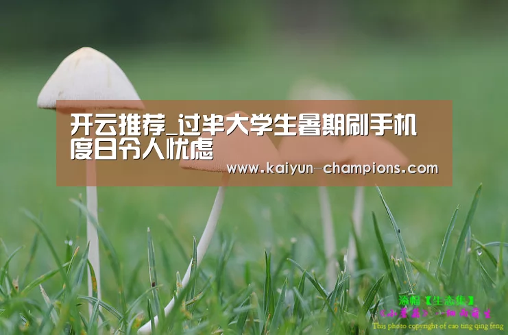 开云推荐_过半大学生暑期刷手机度日令人忧虑(图2) 开云频道