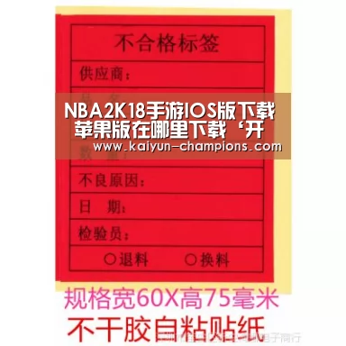 NBA2K18手游IOS版下载 苹果版在哪里下载‘开云频道’(图2) 开云推荐