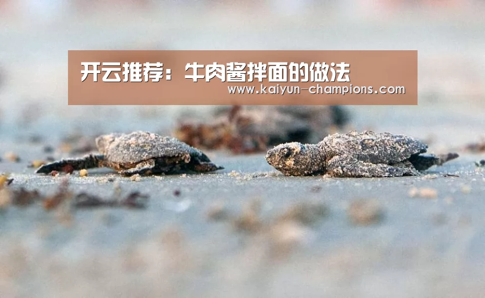 开云推荐:牛肉酱拌面的做法(图2) 开云官网
