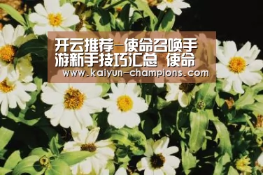 开云推荐-使命召唤手游新手技巧汇总 使命召唤手游新手攻略(图4) 开云频道