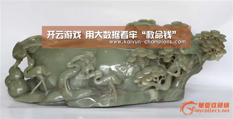 开云游戏_用大数据看牢“救命钱”(图1) 开云频道