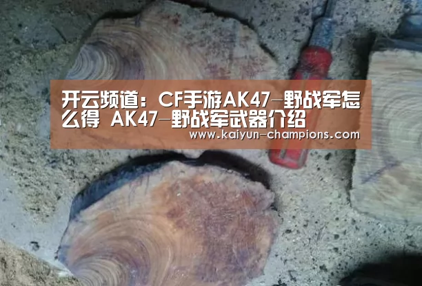 开云频道:CF手游AK47-野战军怎么得 AK47-野战军武器介绍(图1) 开云推荐