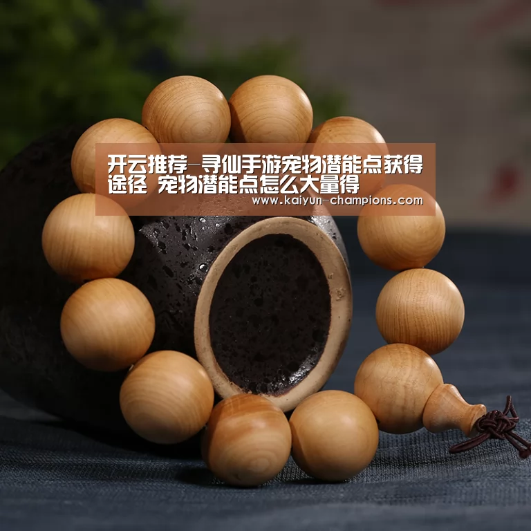 开云游戏