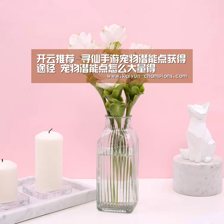 开云频道