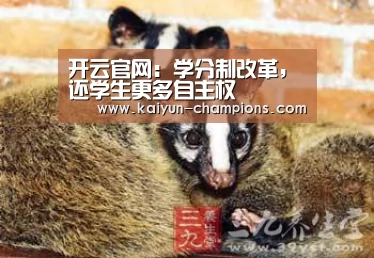 开云游戏