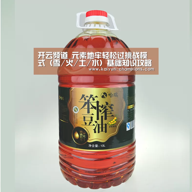 开云频道_元素地牢轻松过挑战模式(雪/火/土/水)基础知识攻略(图2) 开云频道