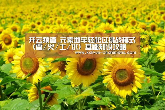 开云频道_元素地牢轻松过挑战模式(雪/火/土/水)基础知识攻略(图3) 开云推荐