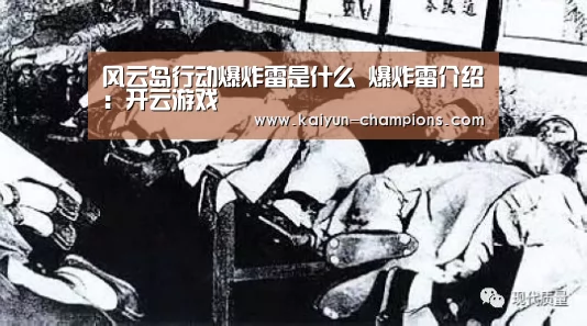风云岛行动爆炸雷是什么 爆炸雷介绍:开云游戏(图1) 开云官网