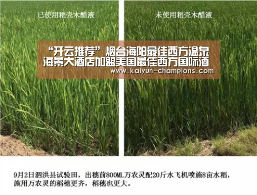 “开云推荐”烟台海阳最佳西方温泉海景大酒店加盟美国最佳西方国际酒店集团(图1) 开云游戏