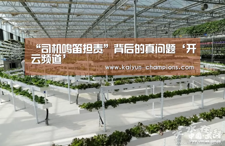 开云游戏
