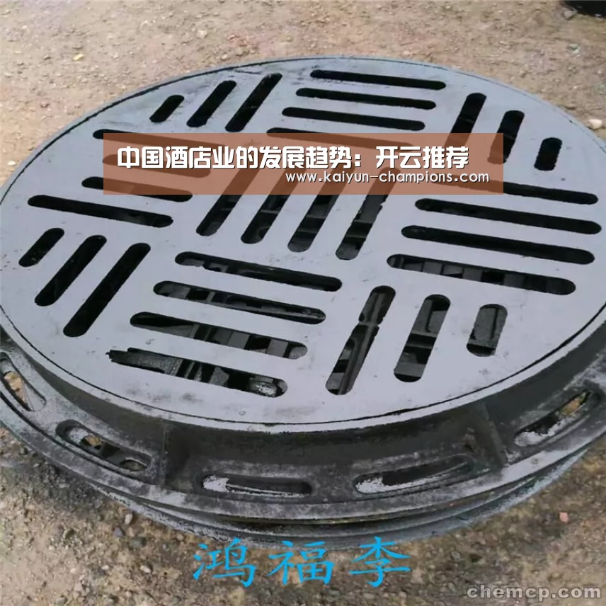 中国酒店业的发展趋势:开云推荐(图4) 开云推荐