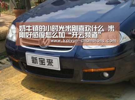 奶牛镇的小时光米刚喜欢什么 米刚好感度怎么加“开云频道”(图1) 开云推荐